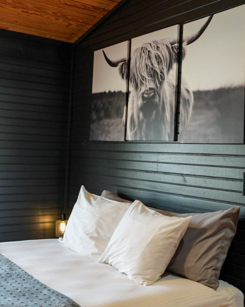 Inside the San Jacinto Cabin at Hideout on the Horseshoe—cozy, simple, and decorated with Texas wildlife for a true Hill Country retreat. Credit: @hideoutonthehorseshoe via Instagram