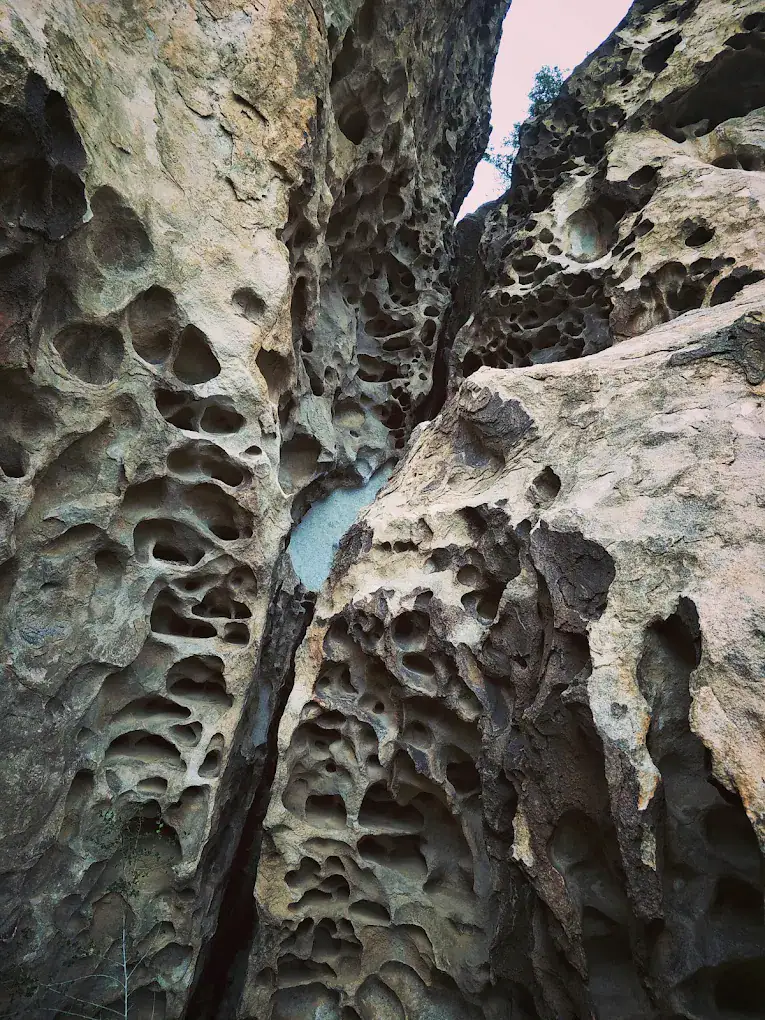 The climbable rocks at Hueco feature natural holes and grips, perfect for hands and feet to propel upward. Credit: LTL