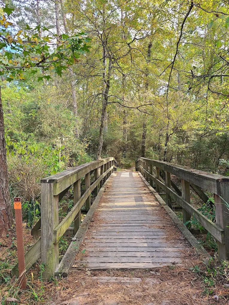 A wooden bridge along one of the trails offers a charming pathway through the forest. Credit: Ruwan Dombepola