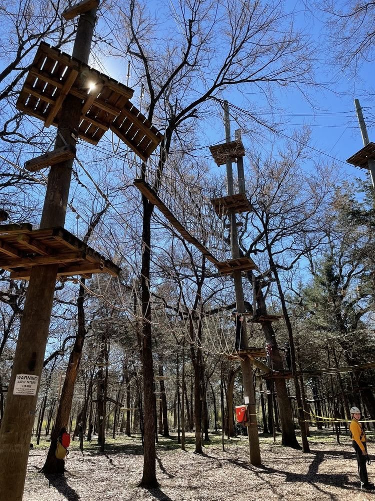 The obstacle course at Trinity Forest Adventure Park rises high among the trees, offering thrilling challenges in the canopy. Credit: Jadine R.