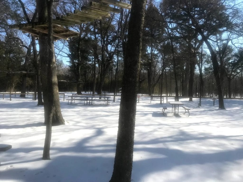 In winter, the adventure park transforms into a wonderland, with obstacle courses surrounded by forest views and picnic tables for families. Credit: Trinity Forest Adventure Park