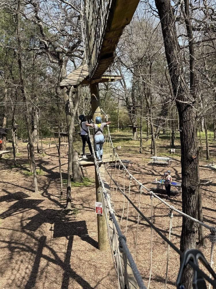 A hanging plank bridge obstacle course stretches high in the trees, with harnesses and helmets keeping the adventure safe. Credit: Kevin W.