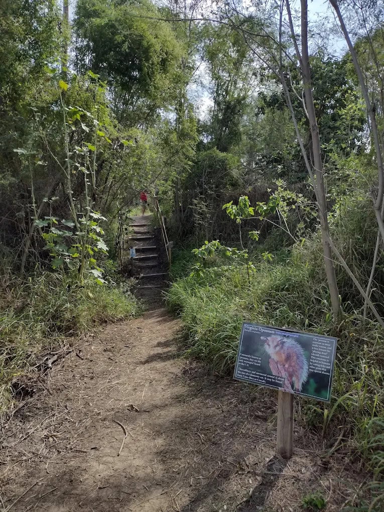Another trail features educational posts with wildlife photos and information, blending exploration with learning. Credit: Alicia Alvarez