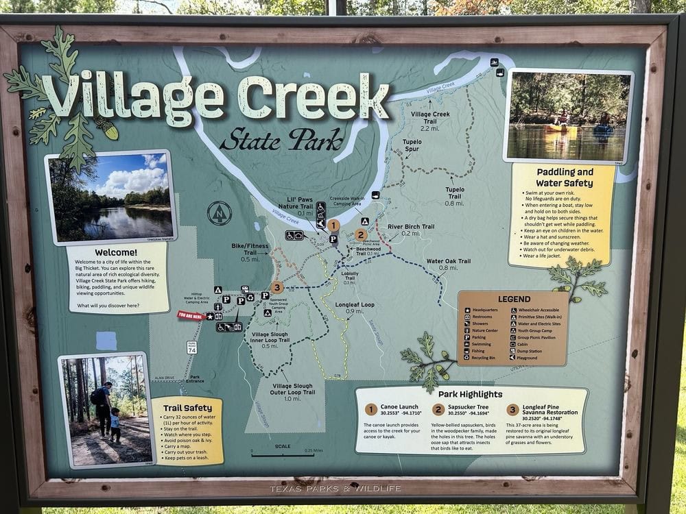 A map of Village Creek State Park helps visitors plan their adventure across trails, campsites, and scenic spots. Credit: Phillip E. S.