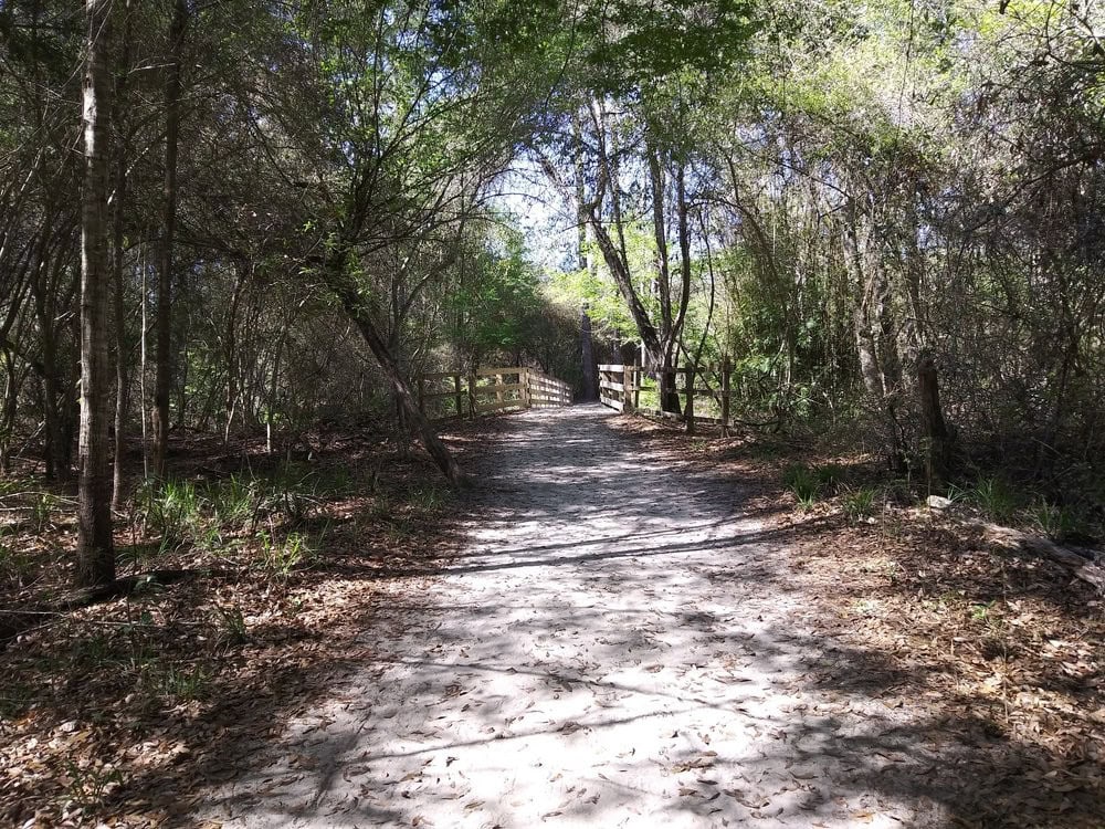 One of the trails features a clear path with a wooden bridge, surrounded by nature’s calm beauty. Credit: Maria W.