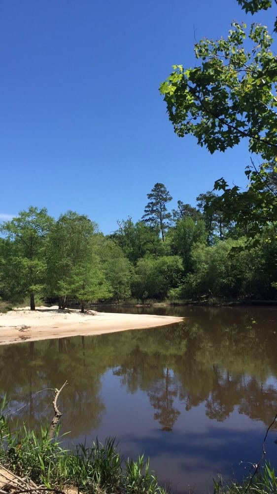 The creek’s calm waters reflect the trees, offering a peaceful view in the heart of the park. Credit: Calyn M.