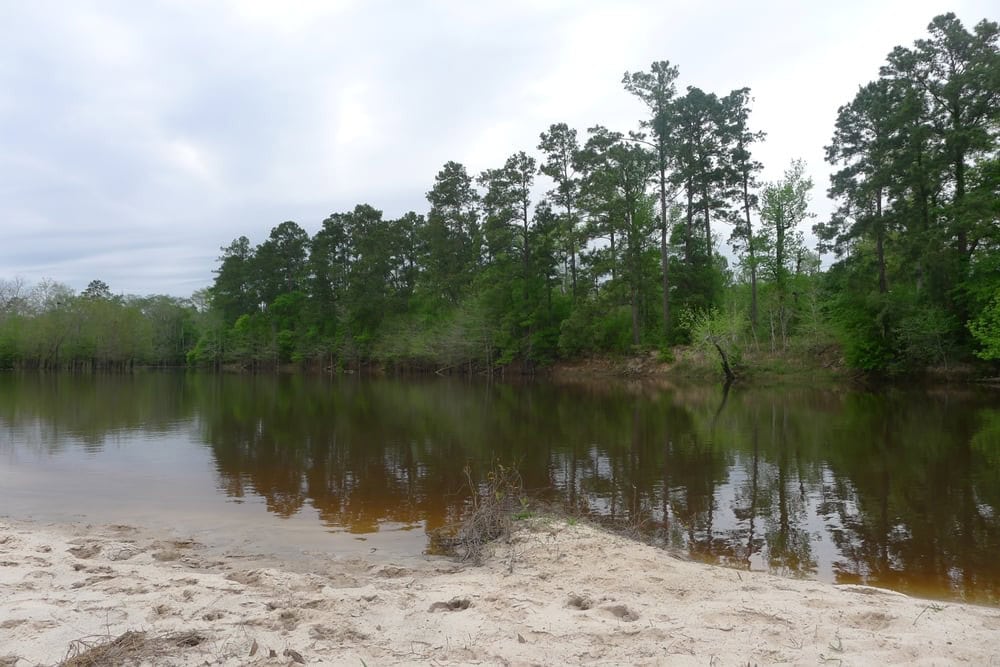 Another view of the creek shows a swimming area where visitors can cool off in nature. Credit: Sue N.