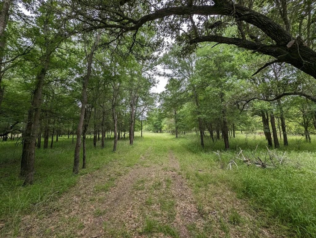 Trails wind through the park, welcoming both hikers and horseback riders. Credit: Phil New