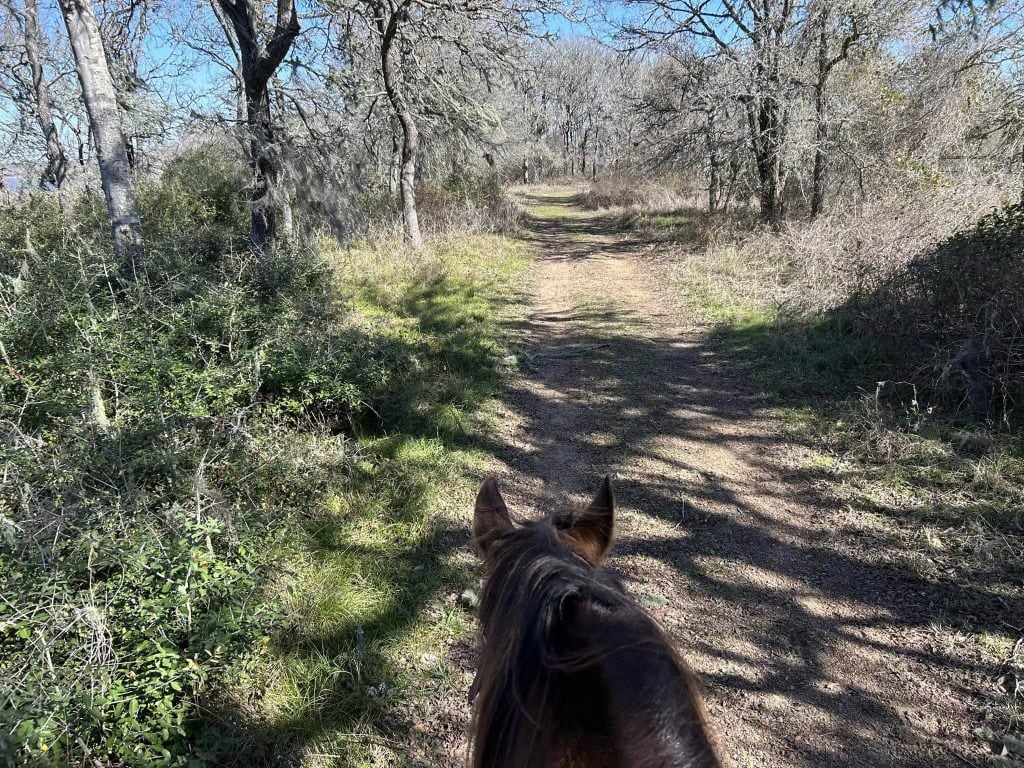 A POV shot captures the experience of riding a horse through the trails. Credit: Barbara Rothermund Chopek