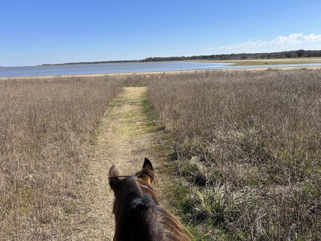 Another POV view shows horseback riding toward the vast lake, framed by nature. Credit: Barbara Rothermund Chopek