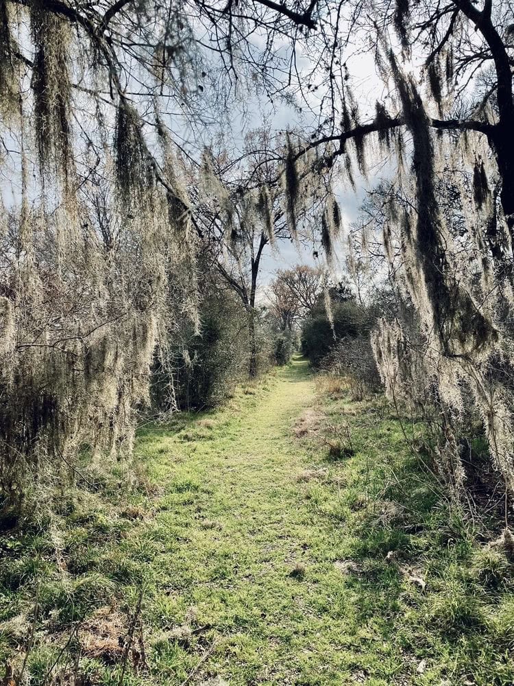 Nails Creek features equestrian trails, adding variety to the park’s riding options. Credit: Jake H.