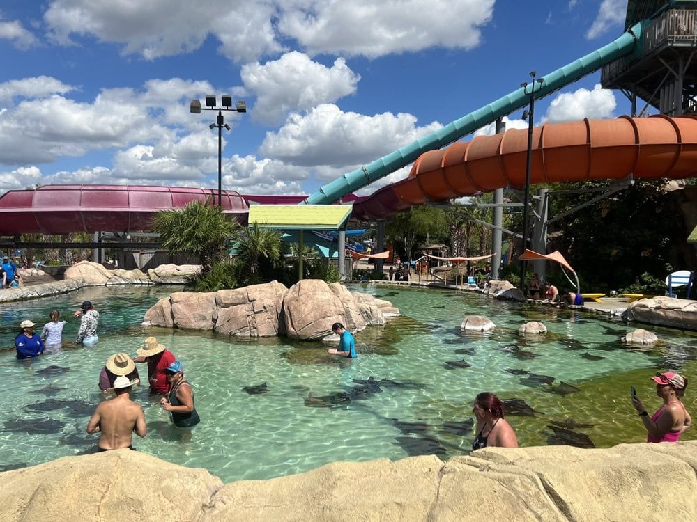 The Stingray Experience at KeRe Reef lets families safely interact with these gentle creatures. Credit: Phuong C.
