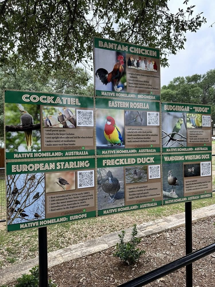 Discover the aviary’s feathered residents through colorful and educational boards. Credit: Justin T.