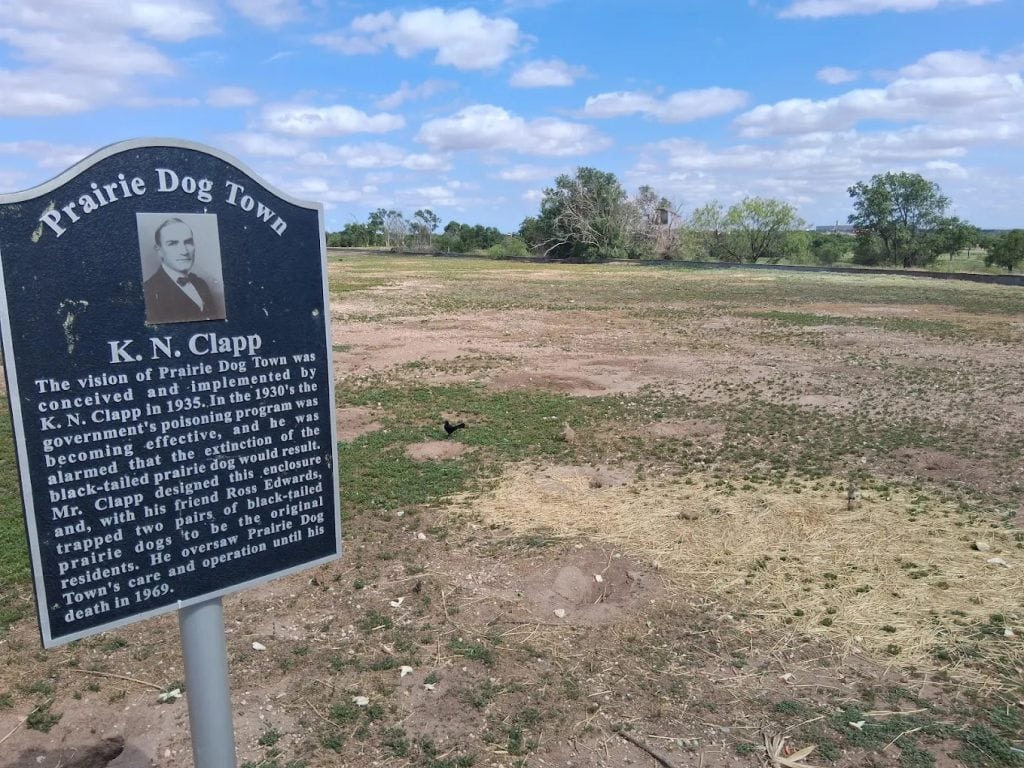 An information board about K.N. Clapp honors the visionary behind Prairie Dog Town, set against the vast open land. Credit: Chris Winnett