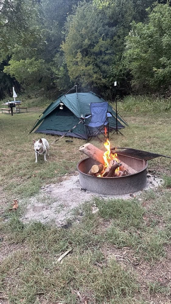 Camping and picnics come alive here with pet‑friendly spaces, picnic tables, and firepits perfect for bonfires. Credit: Kevin V.