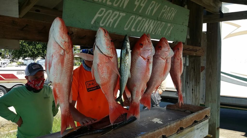 Fresh seafood caught by locals is sold at Beacon 44 RV Park, bringing the Gulf’s bounty straight to visitors. Credit: Marvin Morris