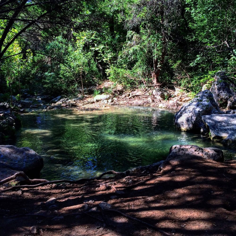 A hidden stream oasis inside the park provides a serene escape and refreshing sight on summer afternoons. Credit: Katie H.