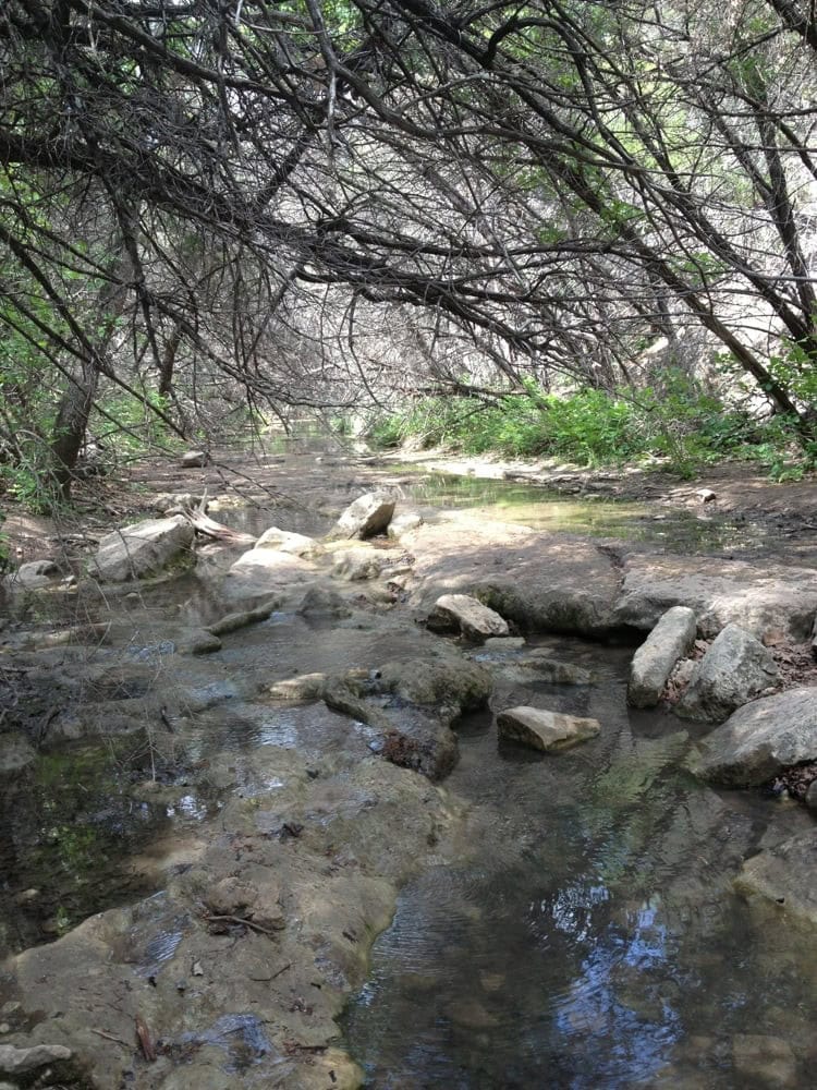 Trails cross gentle streams with stepping stones carefully placed for a fun and natural path. Credit: Ashley P.