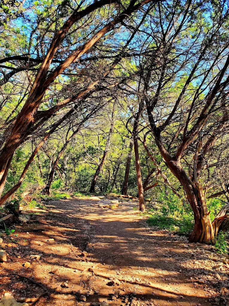 Pet‑friendly trails wind through shaded trees, offering clear paths for walking and exploring nature. Credit: Michael Pacer
