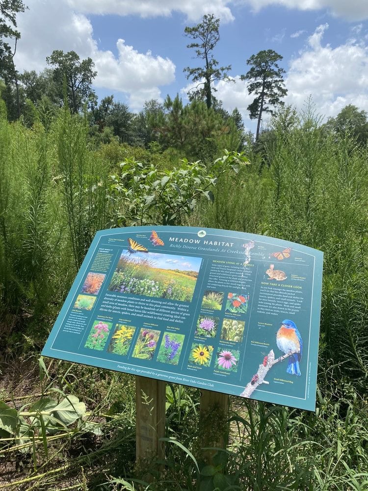 Informative boards explain meadow habitats and the plants and creatures that thrive there. Credit: Karen 2.