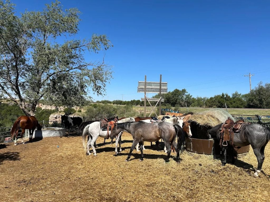 With plenty of stables operating in the area, guests can rent horses easily—no need to bring your own. Credit: Shelby Burckhart