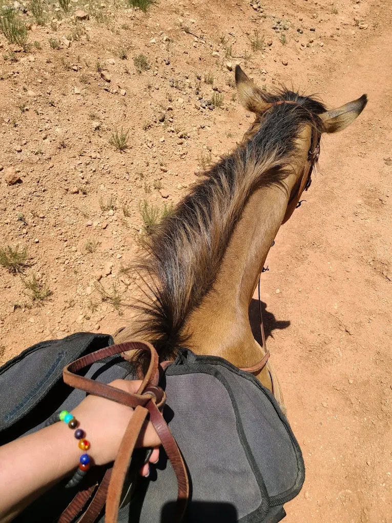 A POV shot captures the thrill of horseback riding in Palo Duro. Credit: JS