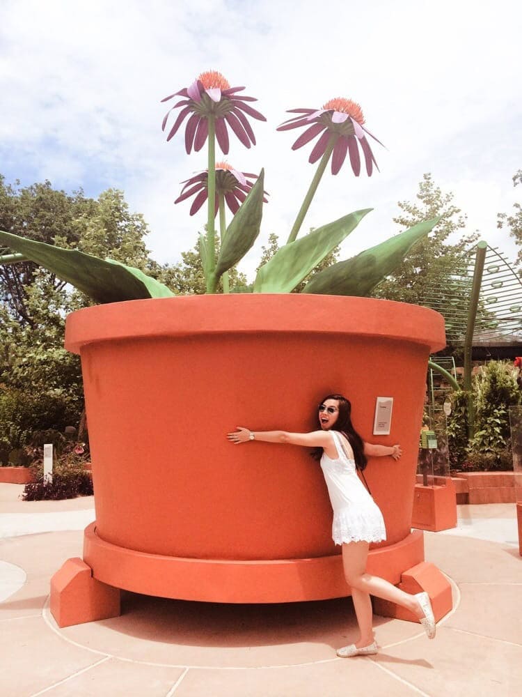 Gigantic flower pot displays in the Adventure Garden add whimsical charm to the landscape. Credit: Tami V.