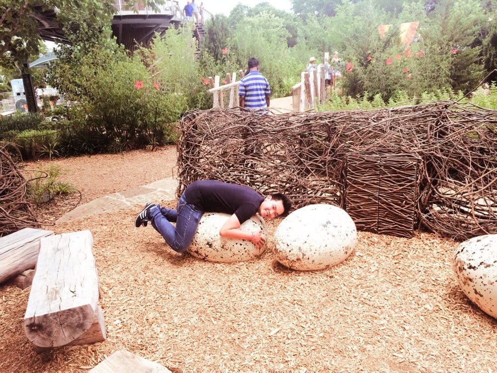 Oversized eggs and benches in the huge bird’s nest gathering space invite kids to climb, rest, and play. Credit: Tami V.