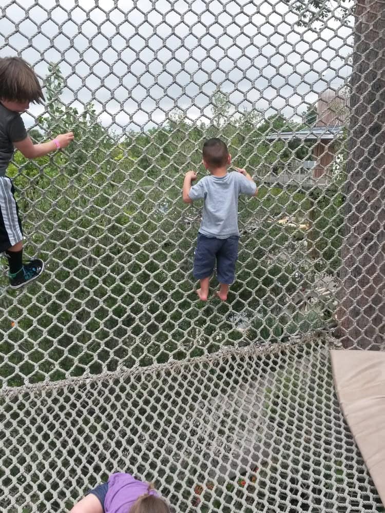 The Walk in the Clouds, a 30-foot artificial tree snag, lets kids play in a netted area high above the ground—a true adventure favorite. Credit: Veronica D.