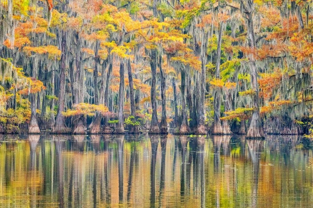 Big Cypress Bayou in Jefferson, Texas, showcases surreal and magical cypress trees—just one of the many scenic experiences this historic small town offers. Credit: @ianplantphoto via Instagram