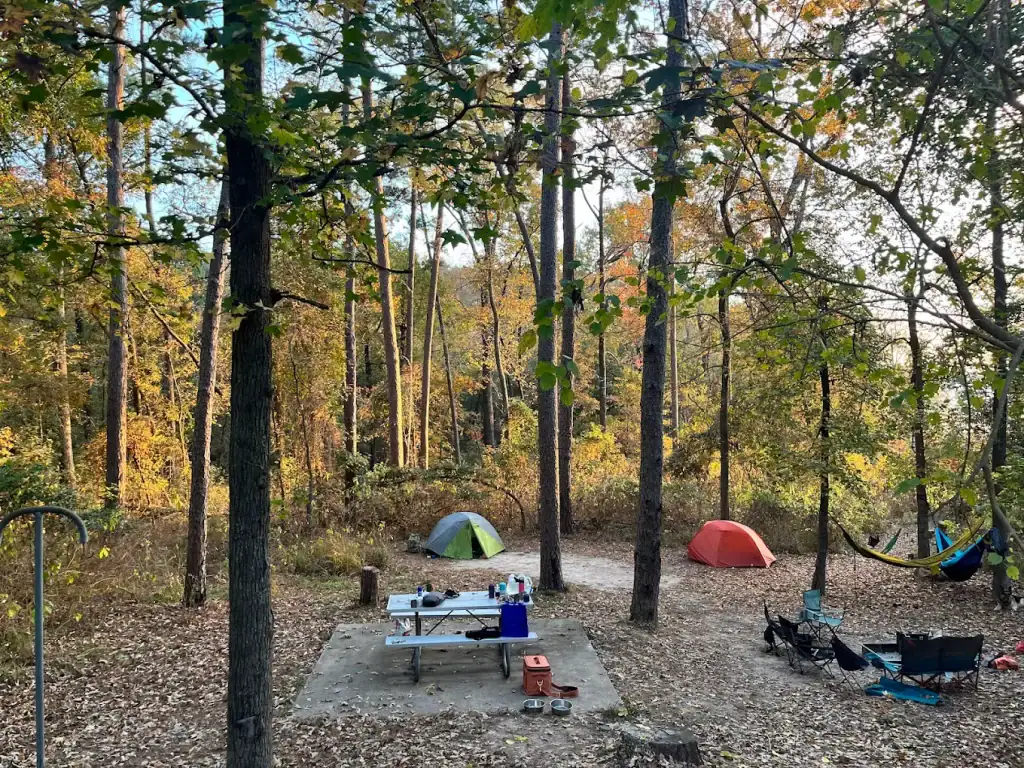 Picnic and camping spots at Lake Bob Sandlin State Park — relax, cook out, and enjoy being surrounded by nature by the water’s edge. Credit: M Fanta