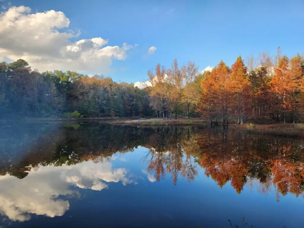 Calm waters and peaceful surroundings at Lake Bob Sandlin State Park, with fall colors reflecting beautifully on the lake — pure East Texas serenity. Credit: Alex Quisenberry