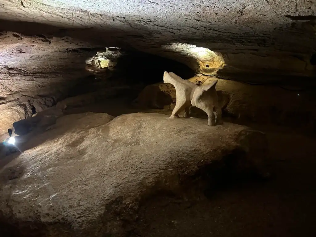A dog-like rock formation inside Longhorn Cavern—entirely shaped by water over thousands of years, not man-made. Nature really does the most. Credit: u/DangerNoodleDoodle via r/TXOutdoors