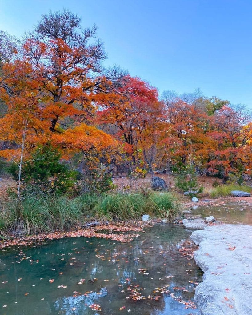 The surreal fall colors at Lost Maples State Natural Area turn the landscape into a vibrant Texas autumn masterpiece. Credit: @lostmaples via Instagram