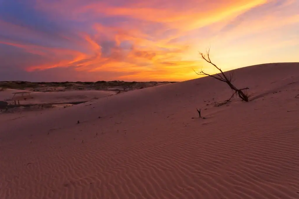 Sunset at Monahans Sandhills State Park, where soft sky colors meet seemingly endless sand. Credit: @saumyagopi via Instagram