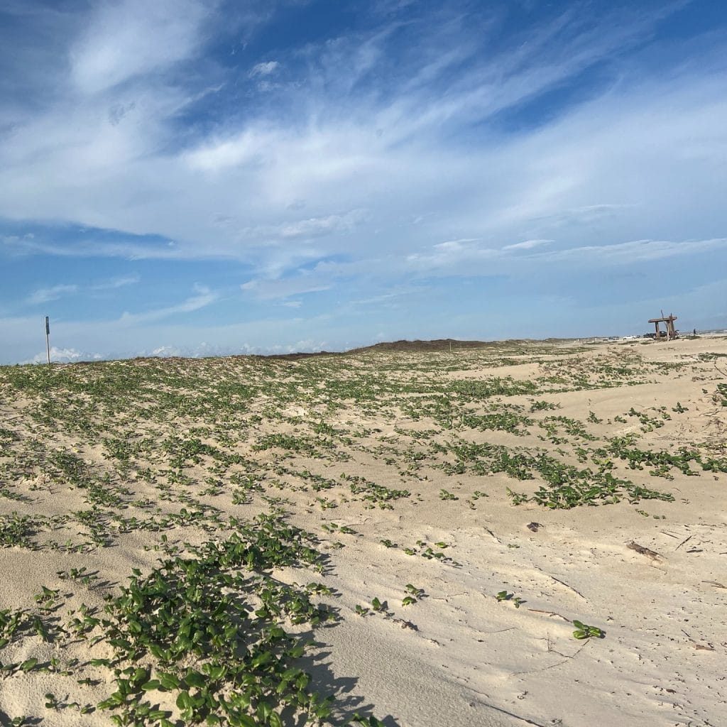 Vast stretches of sand at Mustang Island State Park are yours to enjoy when you camp right by the beach. Credit: @mustangislandstatepark via Instagram