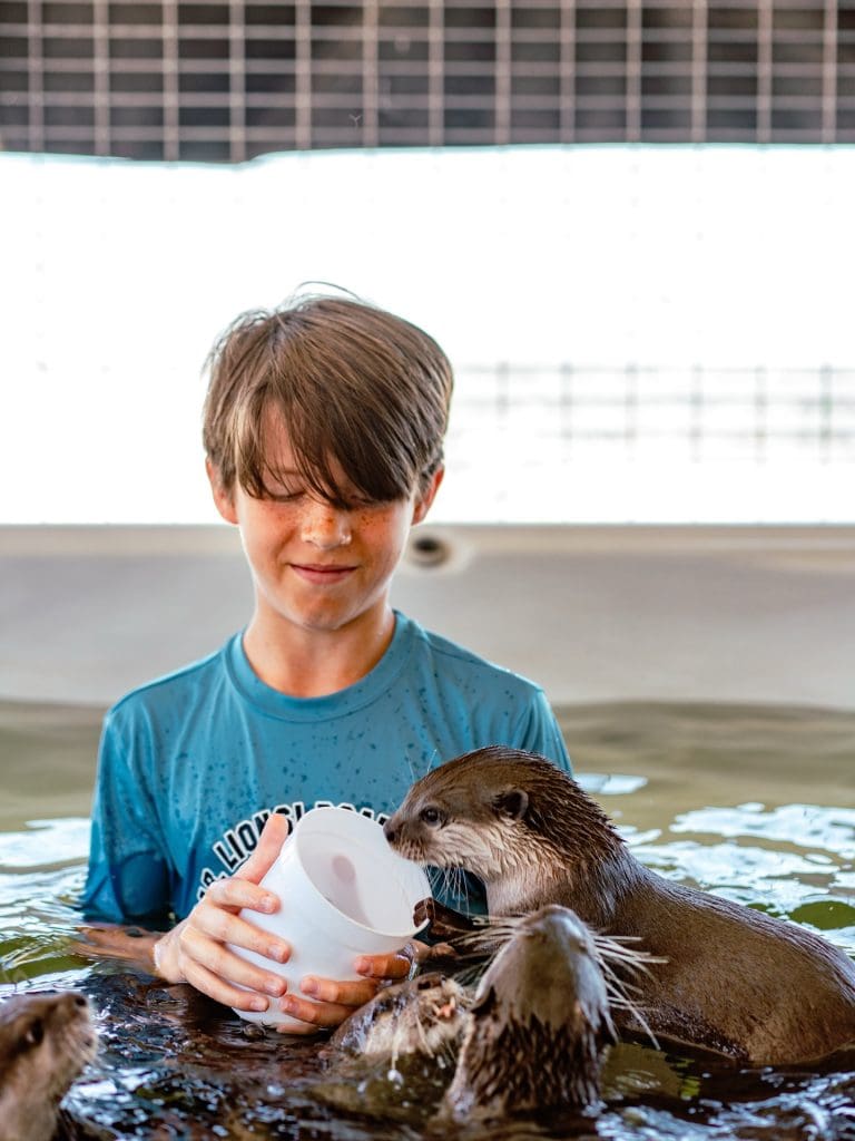 Swimming with otters at Blue Hills Ranch—one of the most unique wildlife experiences you can have in Texas. Credit: @eastsideatxmag via Instagram