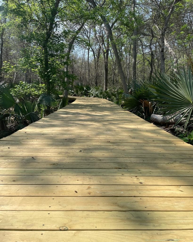 The newly renovated boardwalk along the Ottine Swamp Trail makes it easier to explore Palmetto’s unique wetlands. Credit: @palmettostatepark via Instagram