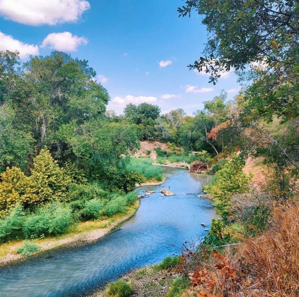 The San Marcos River, as seen in Palmetto State Park—lush with trees, clear and calm water, and pure relaxation in nature. Credit: @waterfortexas via Instagram