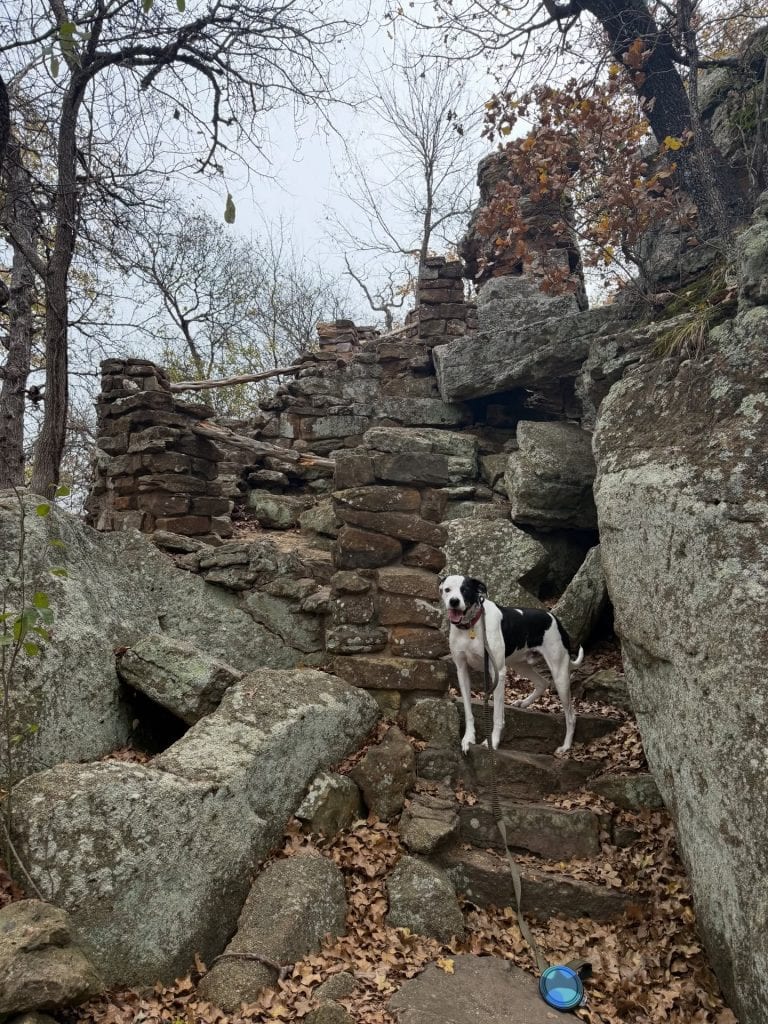 Hiking and rock climbing at Penitentiary Hollow are approachable and dog-friendly, making it a fun outdoor experience for all. Credit: @snoopysawesome via Instagram
