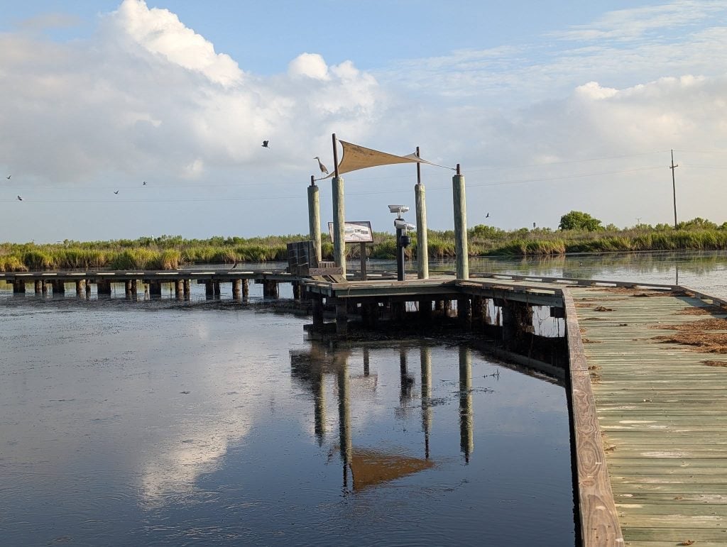 The viewing deck at Sea Rim State Park overlooking miles of coastal marshland—peaceful and wide open. Credit: Hayford Osei via Facebook