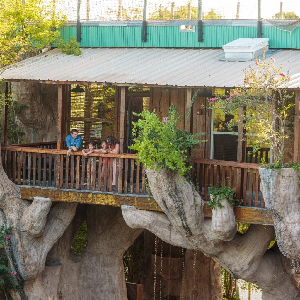 The Treehouse Suite at Schlitterbahn is perfect for a romantic getaway or a fun family stay—swim, relax, explore, and enjoy everything the resort has to offer. Credit: @bahnnewbraunfels via Instagram