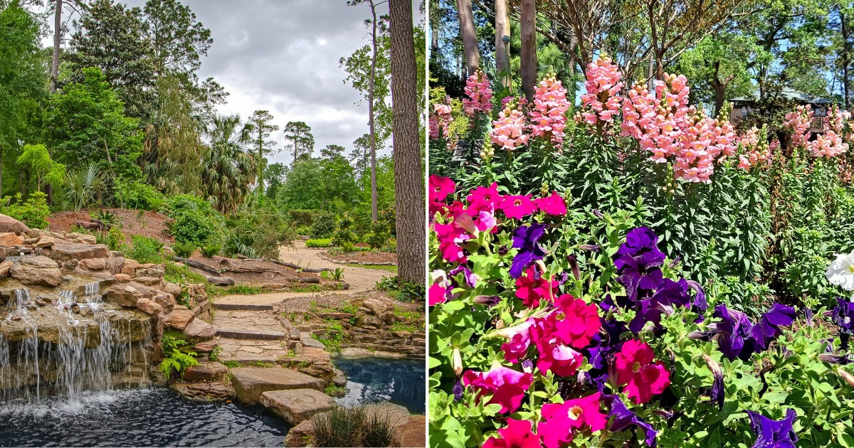 This Secret Botanical Garden In Texas Is Free Year-Round