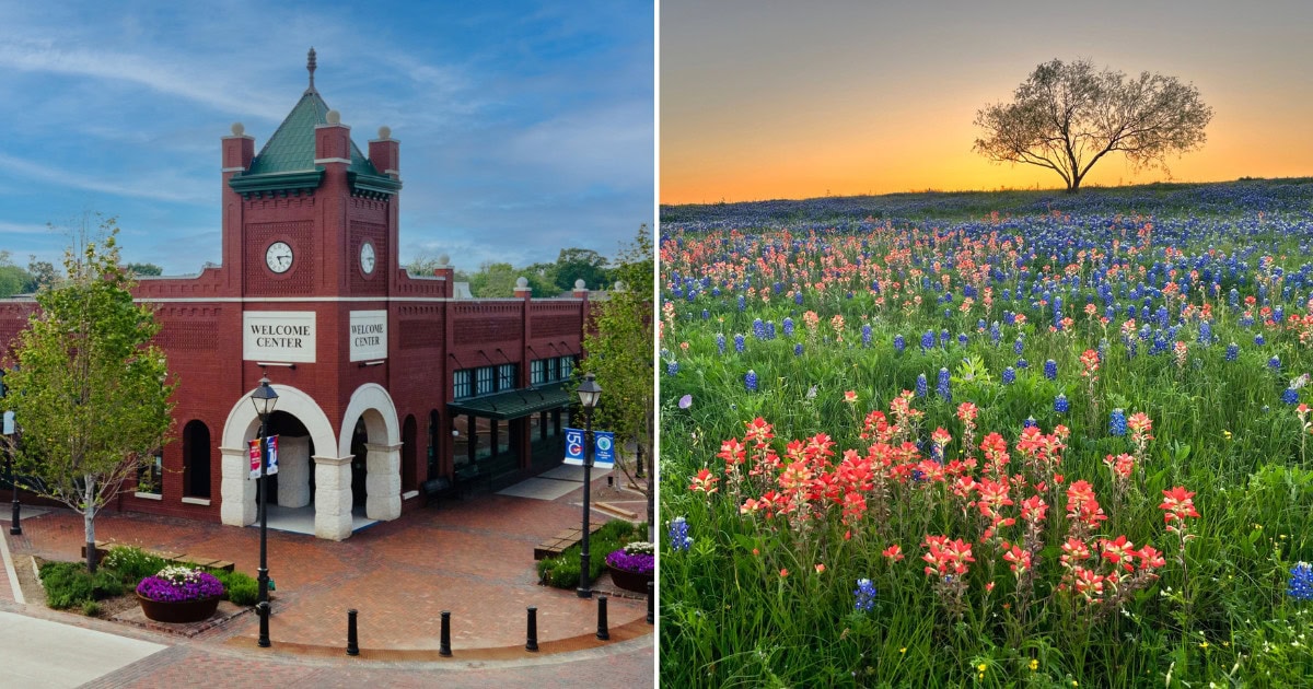 This Countryside Haven in Texas is a Springtime Miracle