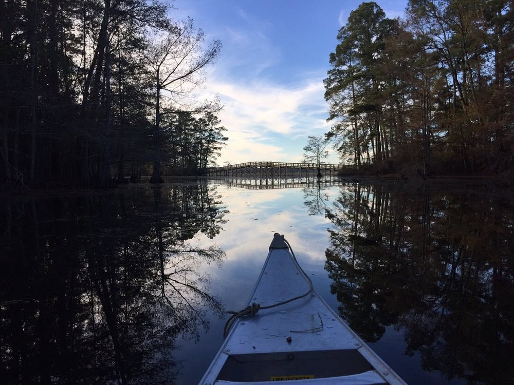 POV shot of kayaking in the park’s 14‑mile trail captures the peaceful beauty of the water. Credit: Eunji K.