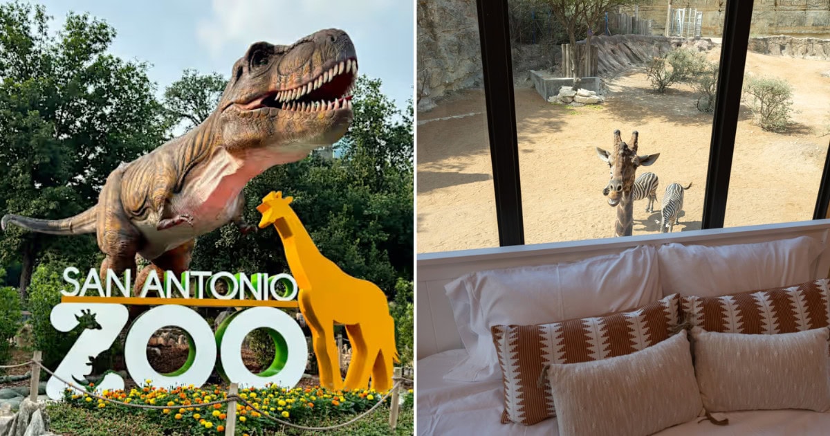 These Top Zoos in Texas Have Unforgettable Overnight Camping Experiences