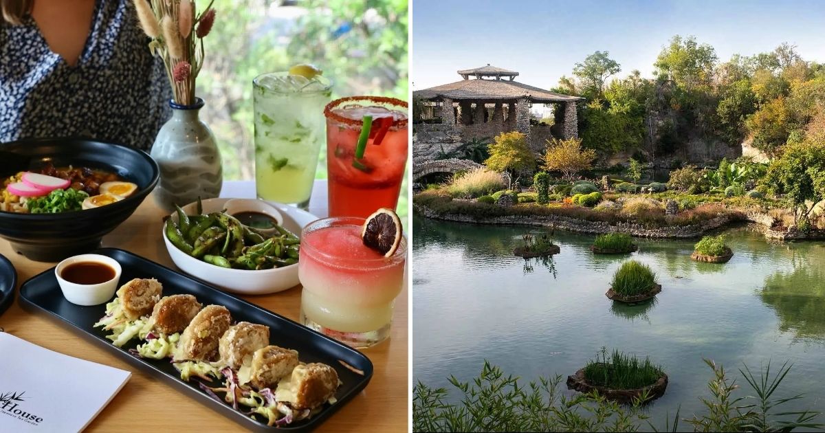 This San Antonio Tea Garden Is a Hidden Oasis in Full Summer Bloom