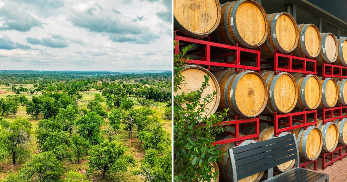This Refined Texas Ranch Lets You Own a Piece of Hill Country Wine Country