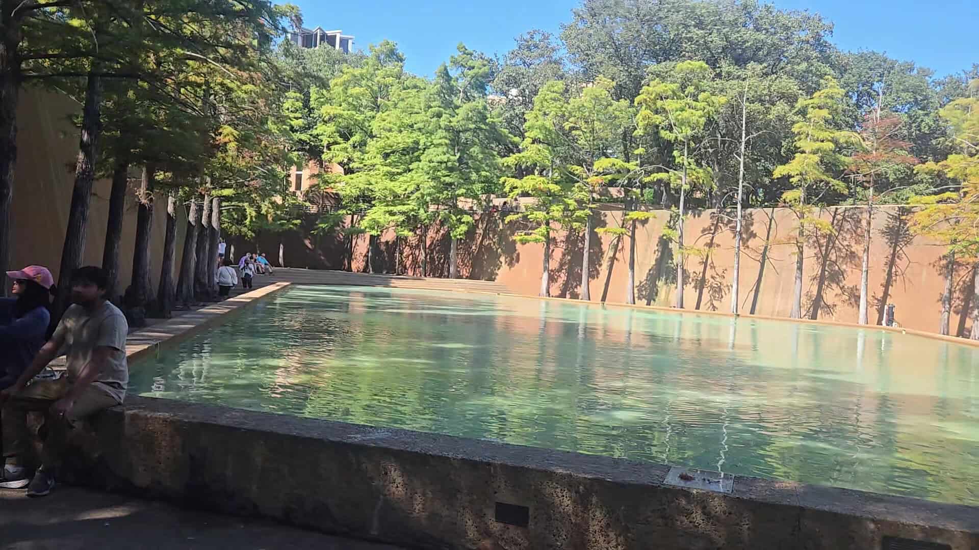 The Aerating Pool framed by trees at the Fort Worth Water Gardens