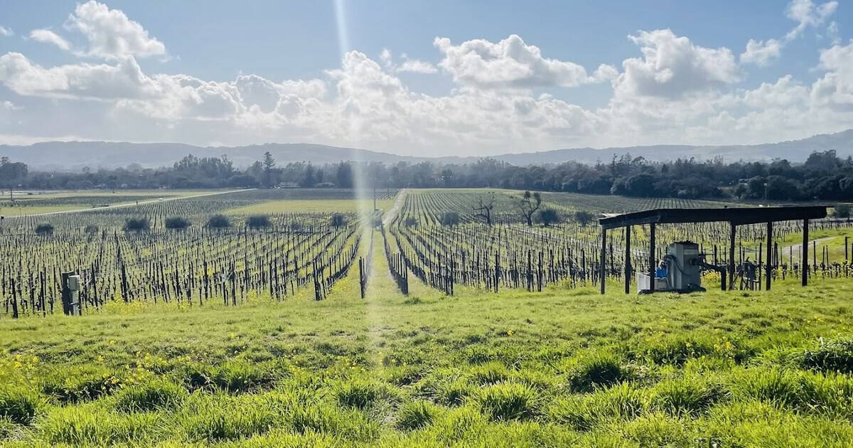 10 Wine-Country Small Towns Across America